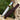 Bowie knife