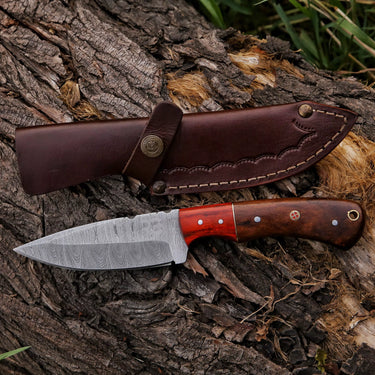 'Soraya' Damascus Skinner