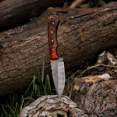 'Soraya' Damascus Skinner